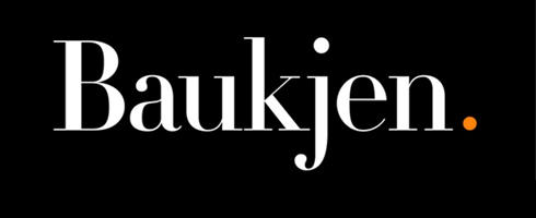Baukjen3