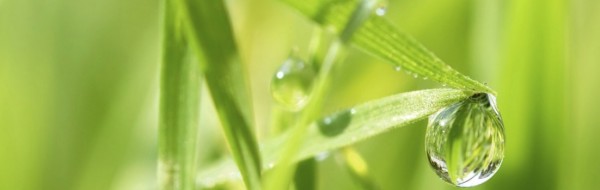 Even Greener Voucher Code
